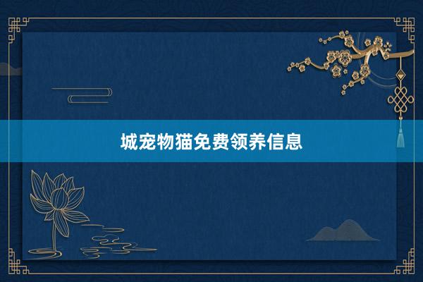 城宠物猫免费领养信息