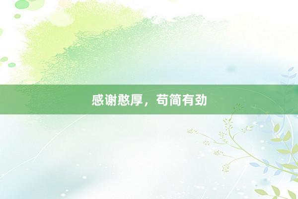 感谢憨厚，苟简有劲